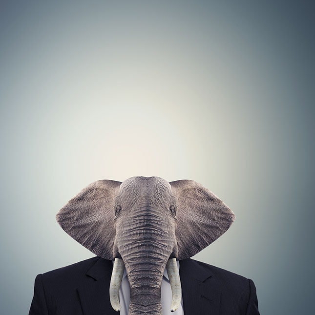 Utah Business Law | Corporate Law | Reay Law Firm Utah.Law